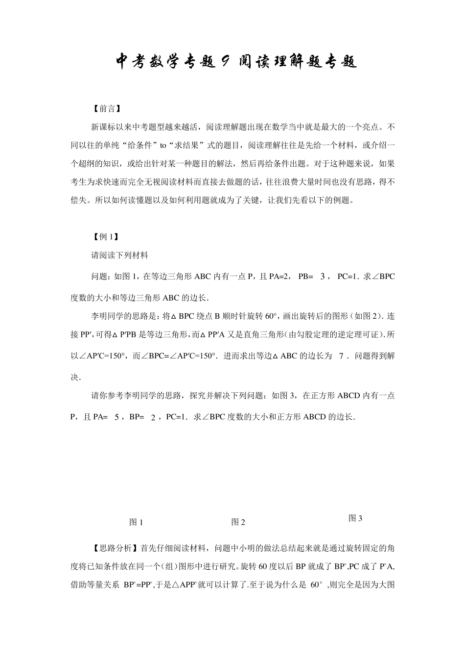 中考数学专题(十九)阅读理解题专题_第1页