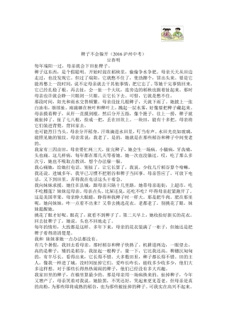 中考现代文阅读试题及答案十二(2016)