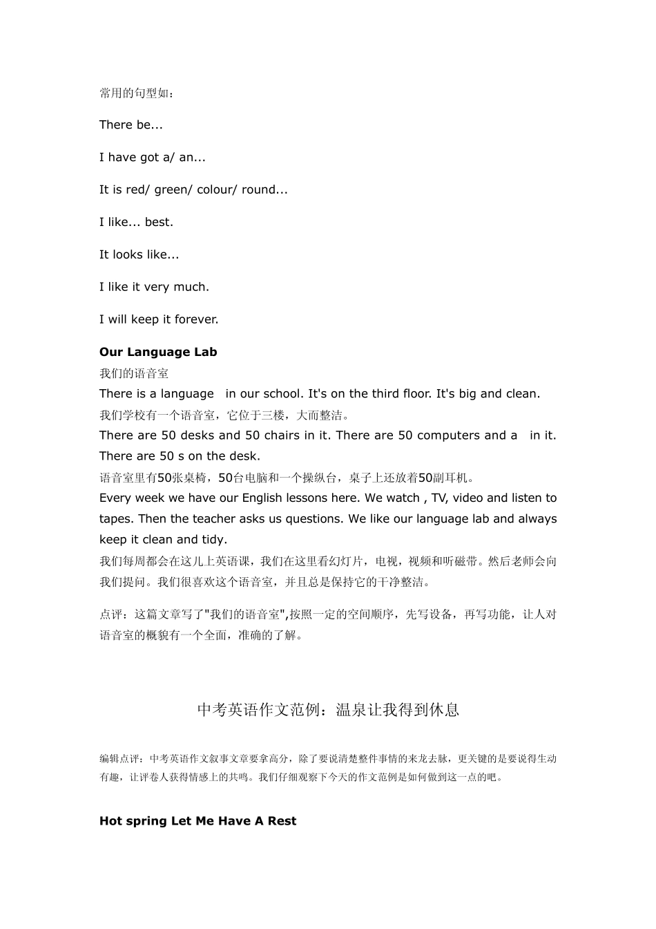 中考英语作文范例+点评_第2页