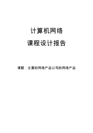 主要的网络产品公司的网络产品