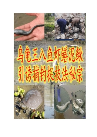 乌龟王八鱼虾鳝泥鳅引诱捕捉钓技法秘宗