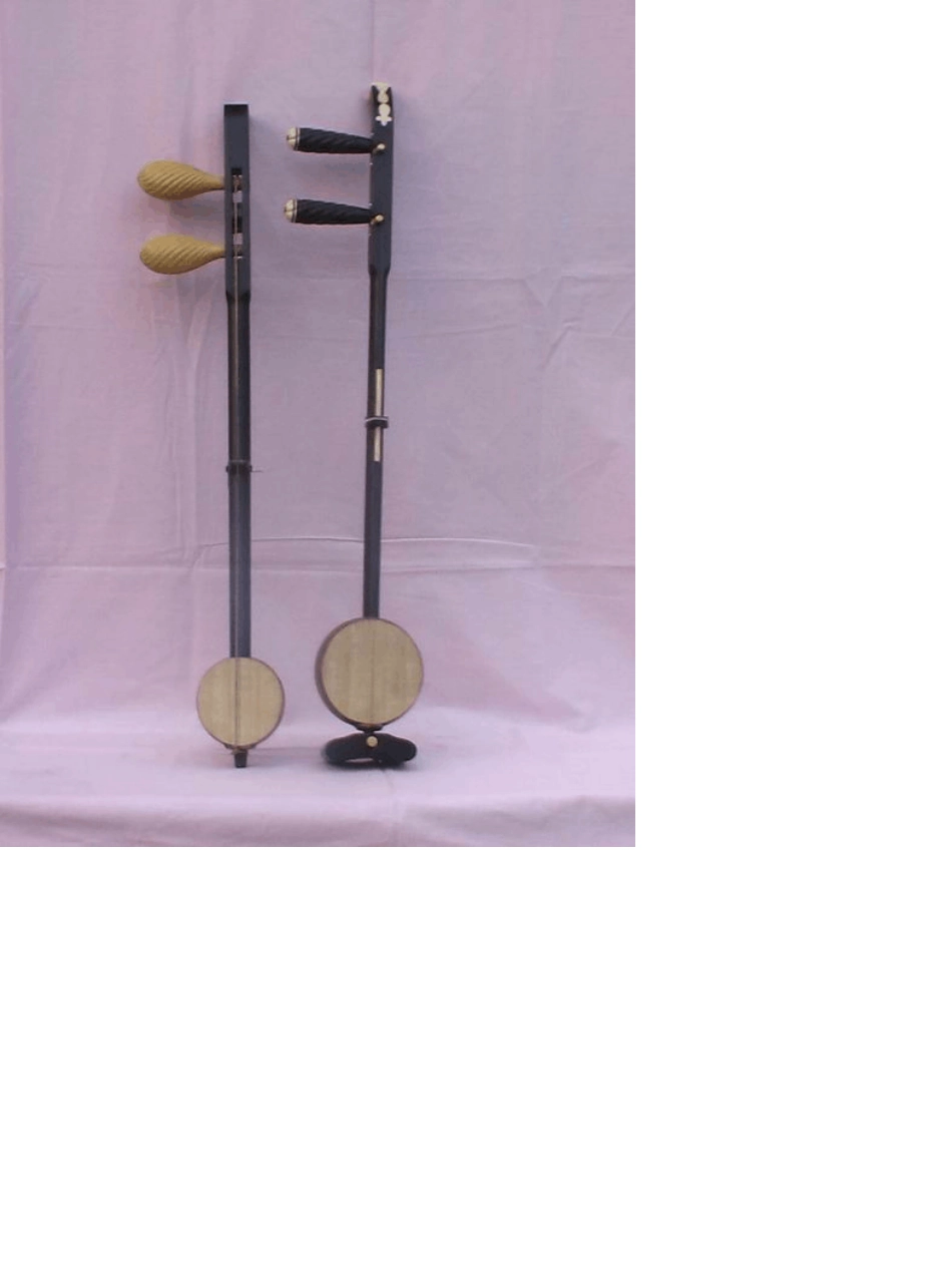 乐器分类图片大全_第1页