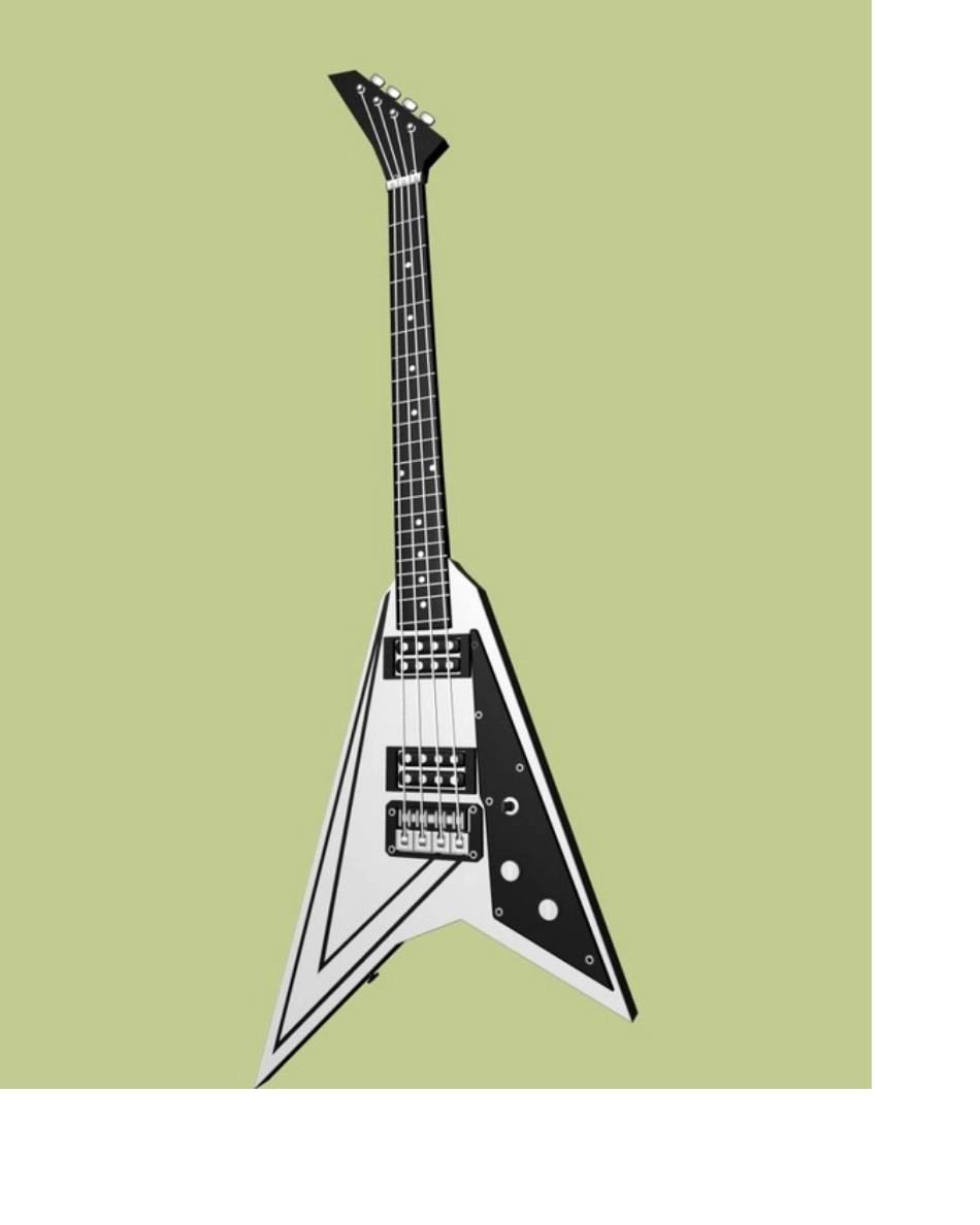 乐器分类图片大全_第3页