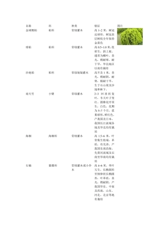 乔木、灌木、地被植物说明图表3