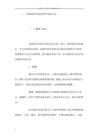 乔木具体养护措施