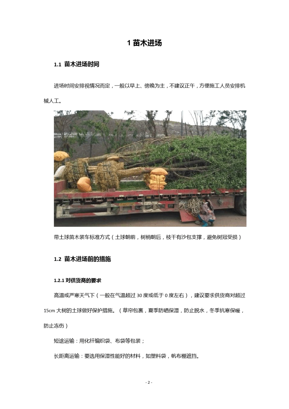 乔木栽植精细化管理_第3页