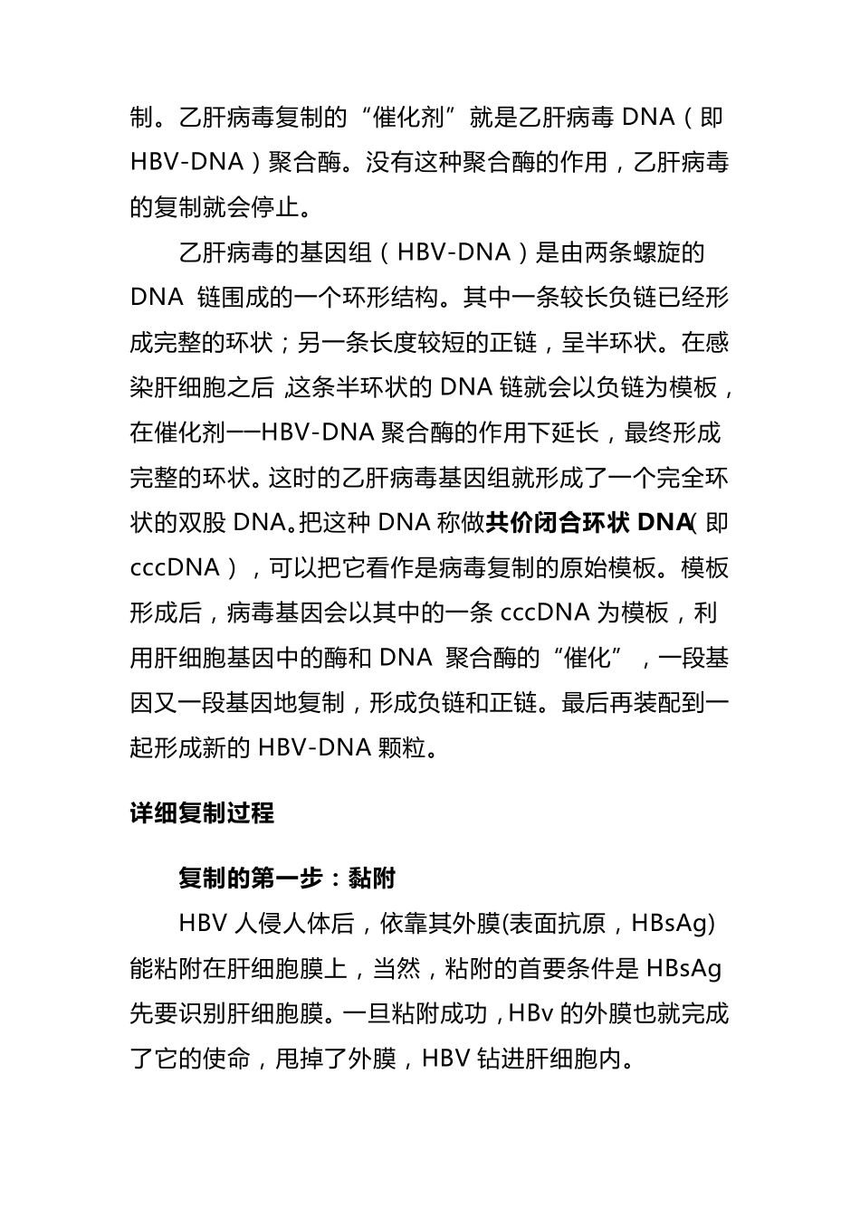 乙肝病毒DNA概述_第3页
