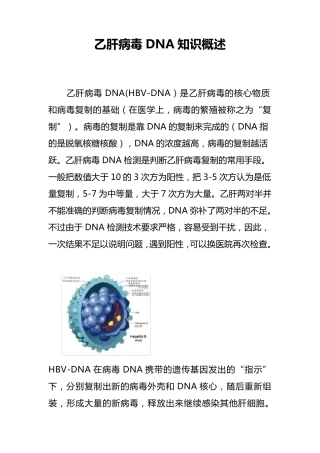 乙肝病毒DNA概述