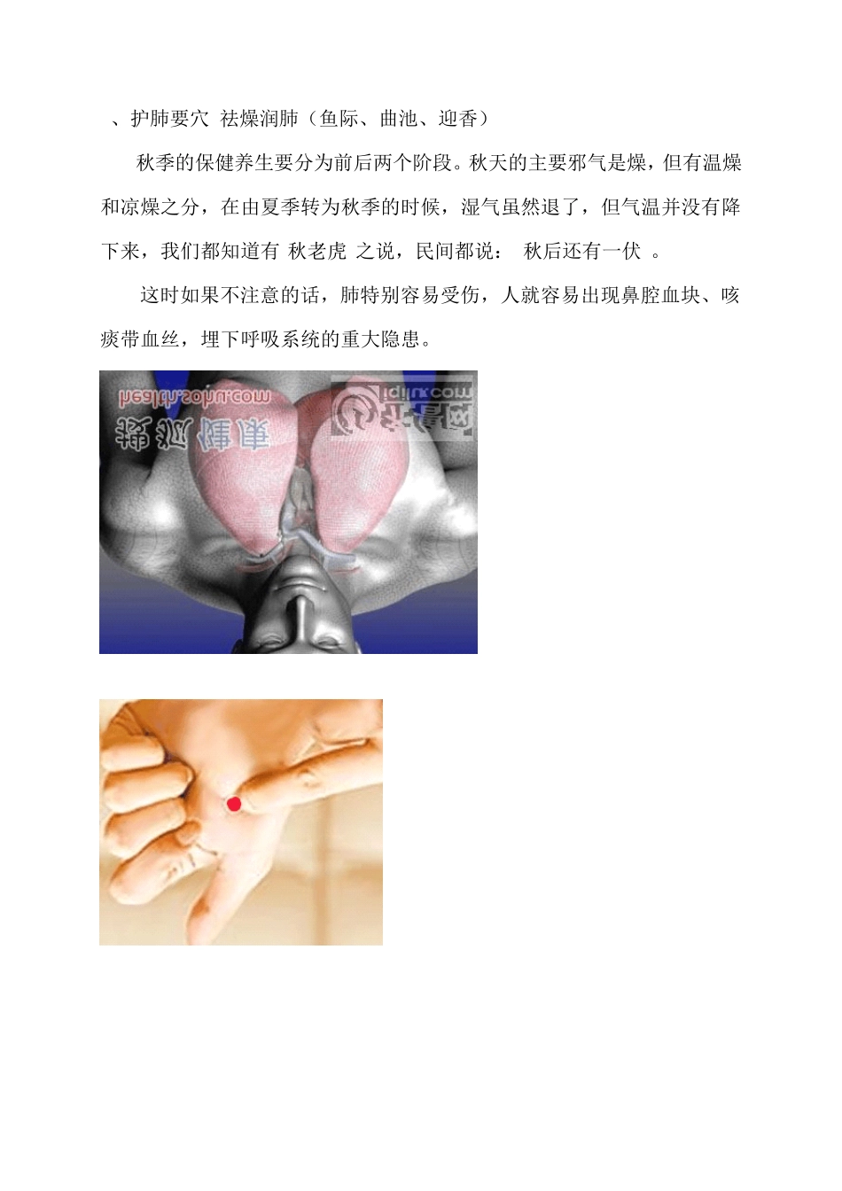 九大穴位祛湿健脾_第3页