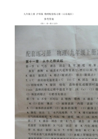 九年级上册沪科版物理配套练习册_参考答案