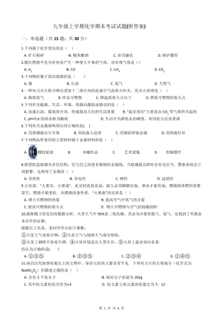 九年级上学期化学期末考试试题
