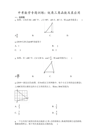 九年级中考数学专题训练：锐角三角函数及其应用