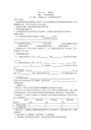 九年级化学人教版第十单元学案
