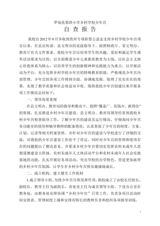 乡村学校少年宫自查报告
