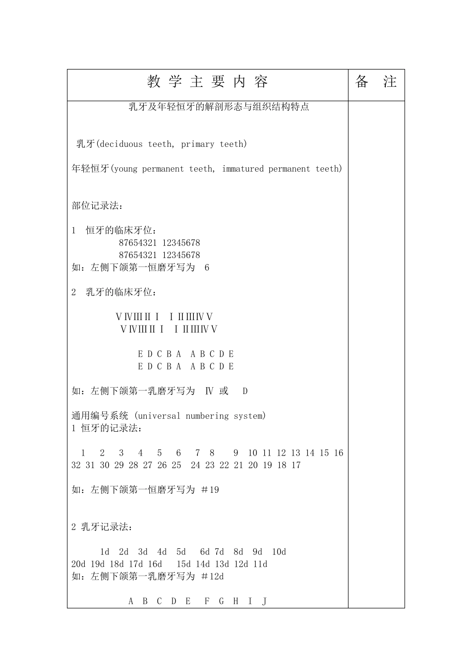 乳牙及年轻恒牙的解剖形态与组织结构特点_第2页