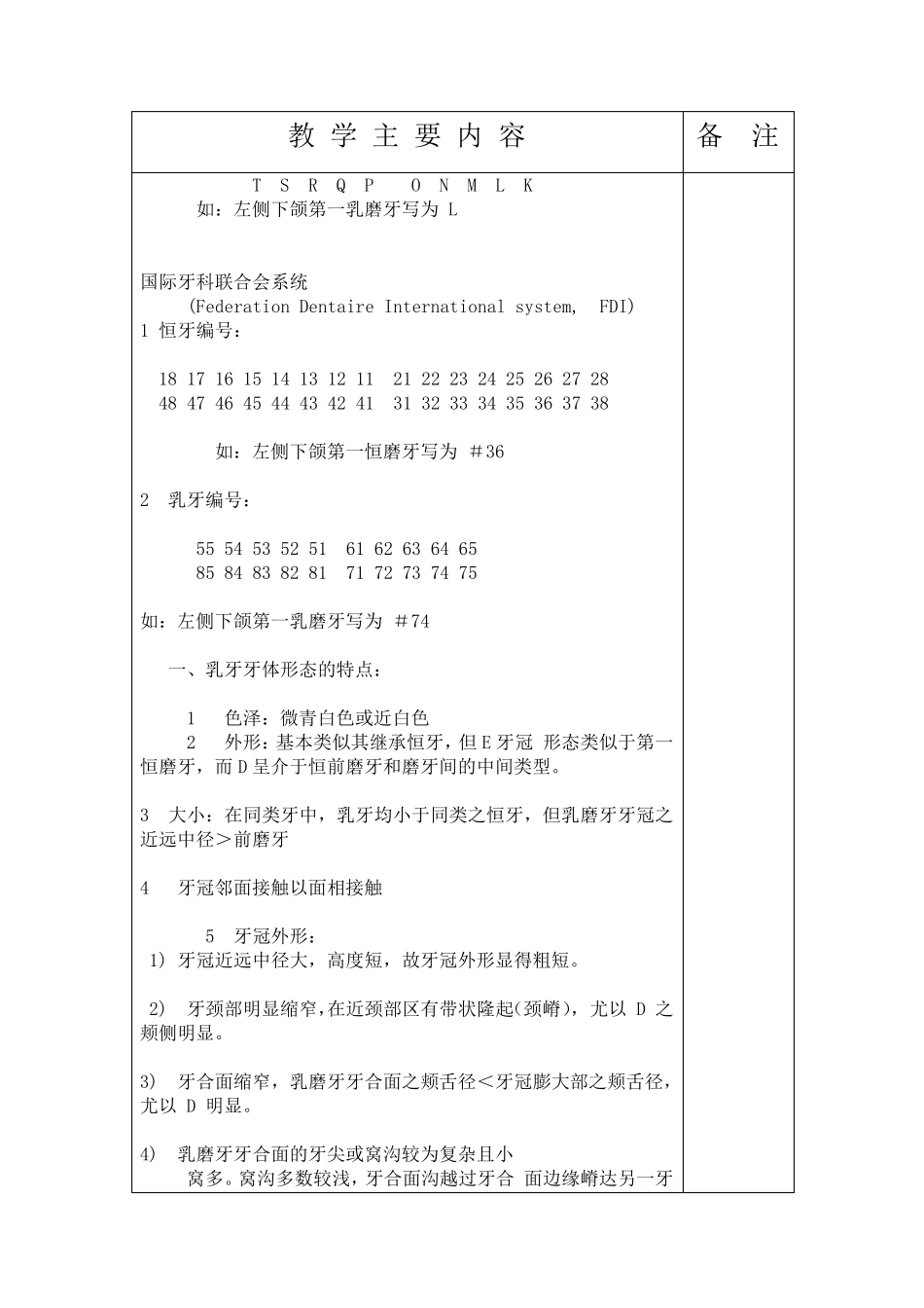 乳牙及年轻恒牙的解剖形态与组织结构特点_第3页