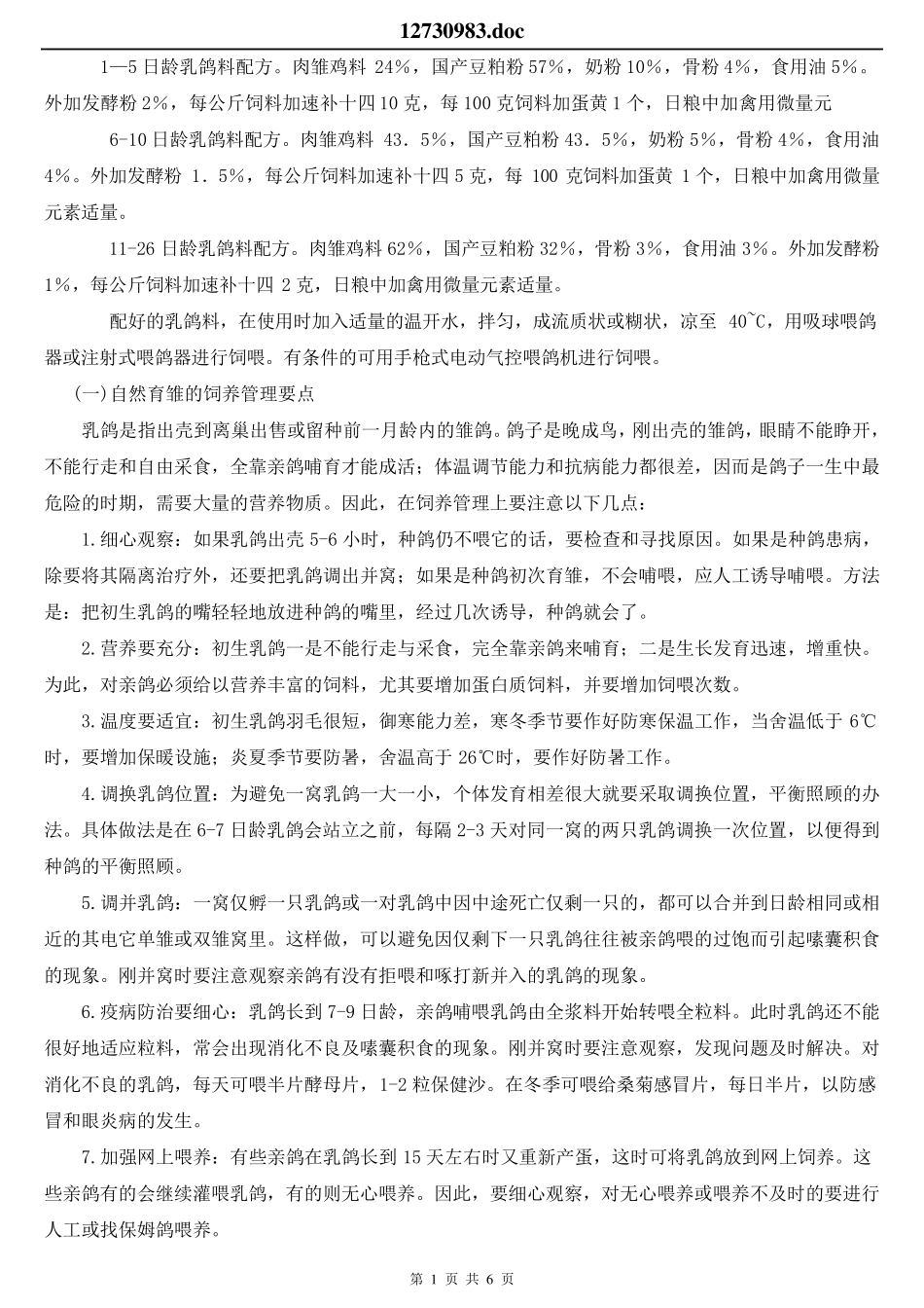 乳鸽养殖技术_第1页