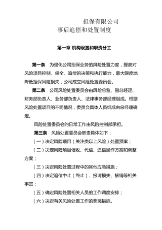 事后追偿和处置制度