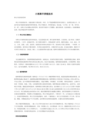 养小尾寒羊技术及小尾寒羊养殖方法