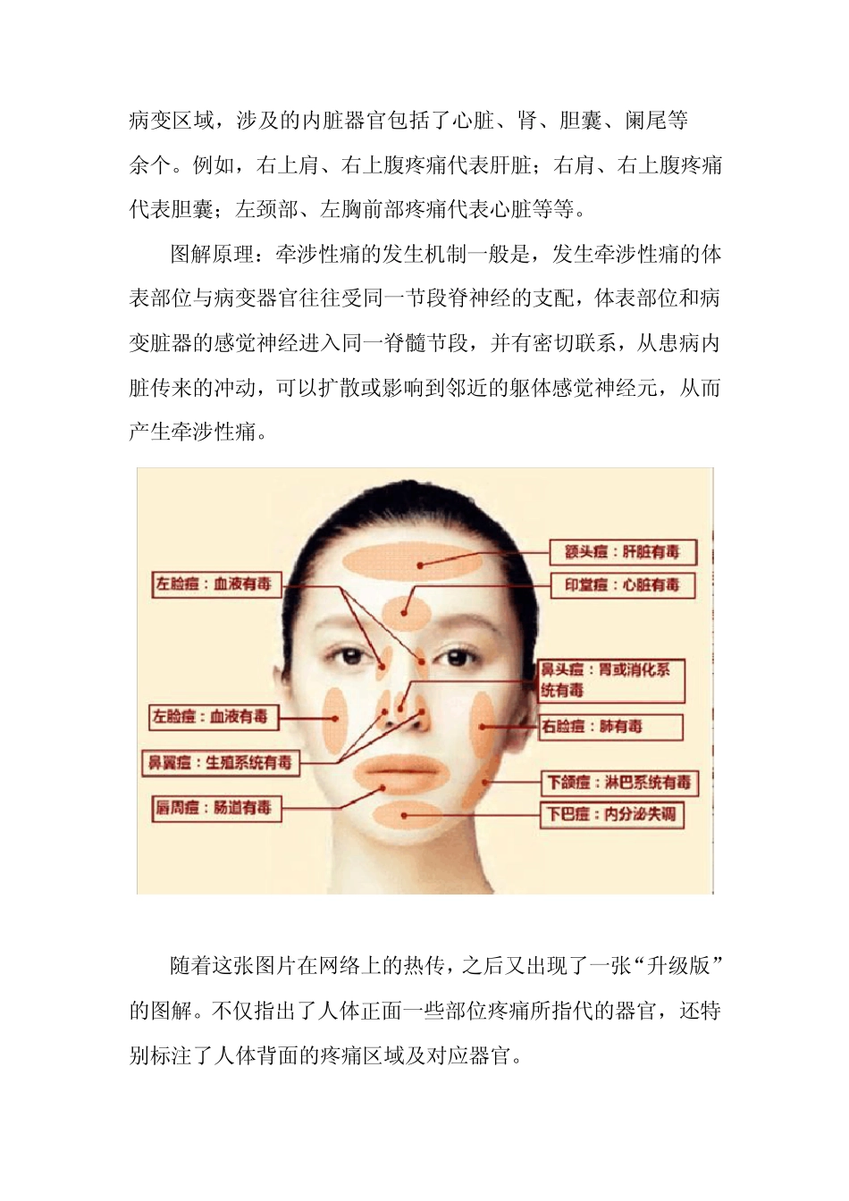内脏器官对应疼痛图_第3页