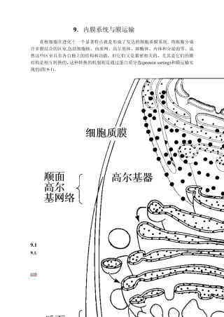内膜系统与膜运输