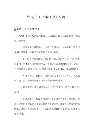 农民工工资承诺书(15篇)