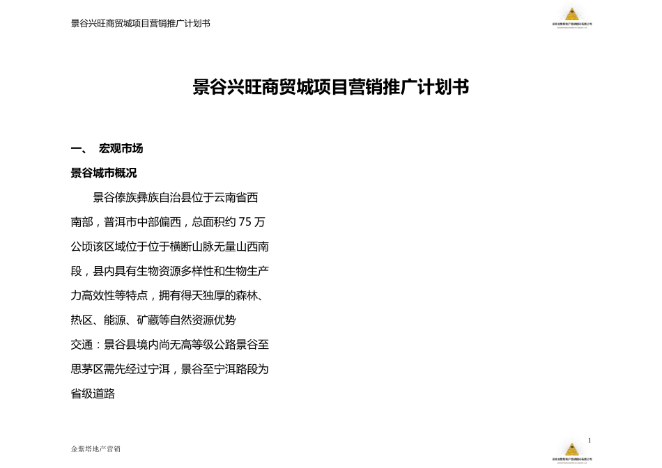 农贸市场整体营销推广计划_第1页