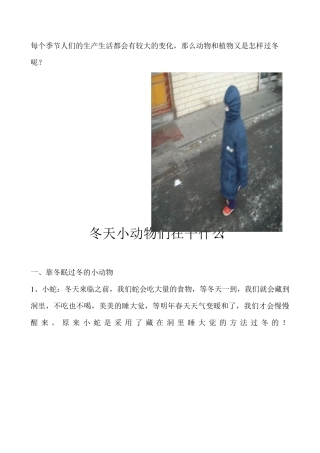 冬天动物们植物怎样度过冬天