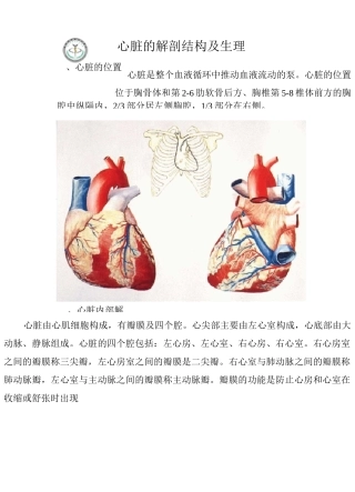 心脏的解剖结构及其生理(含彩图)