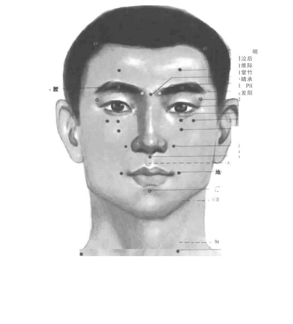 人体穴位图(超全)_第2页