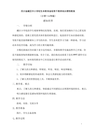 小学生命教育优秀教案——感知世界