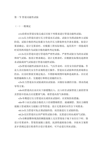 管道功能性试验