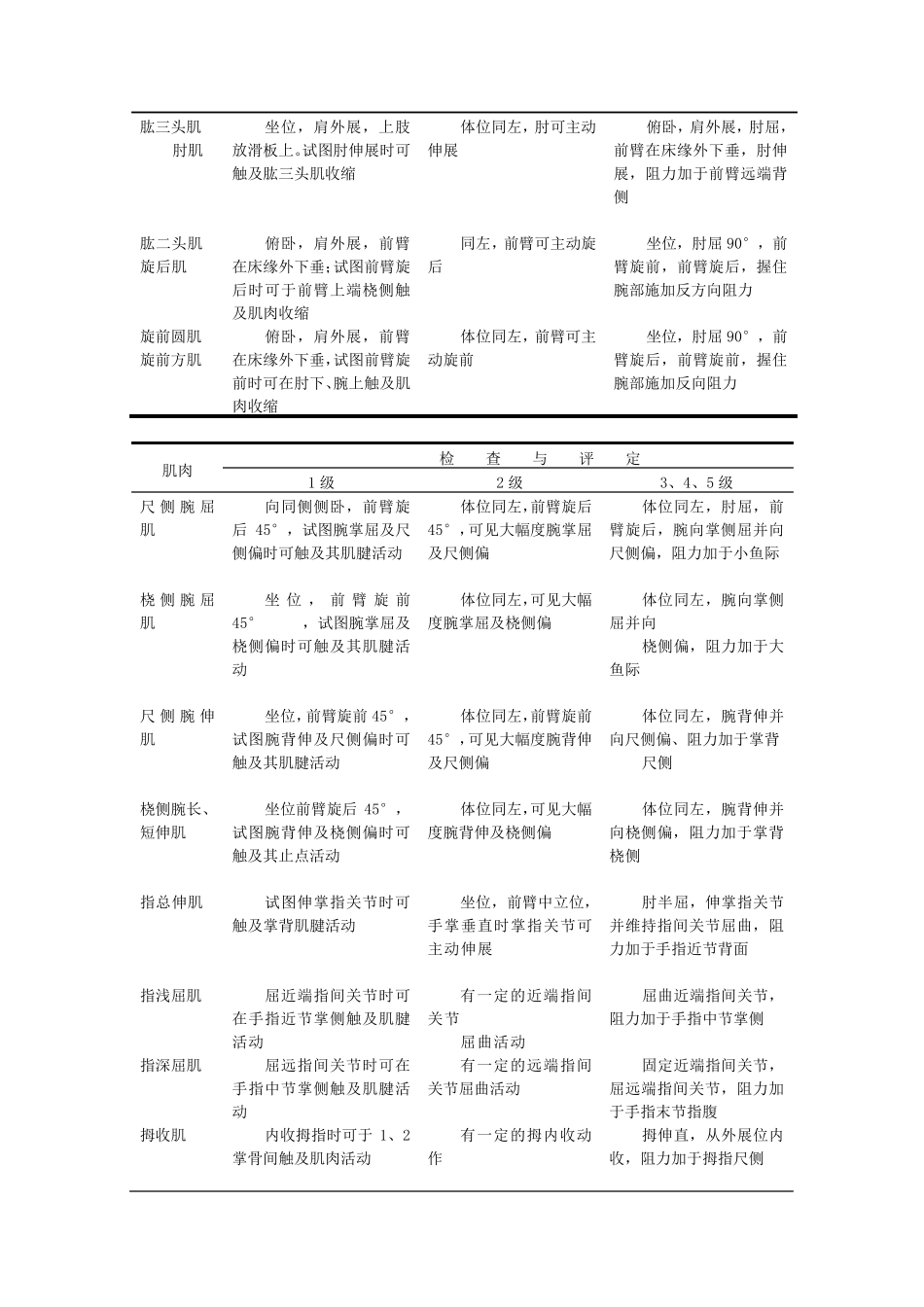 肌力评定 等张、等长  等速_第3页