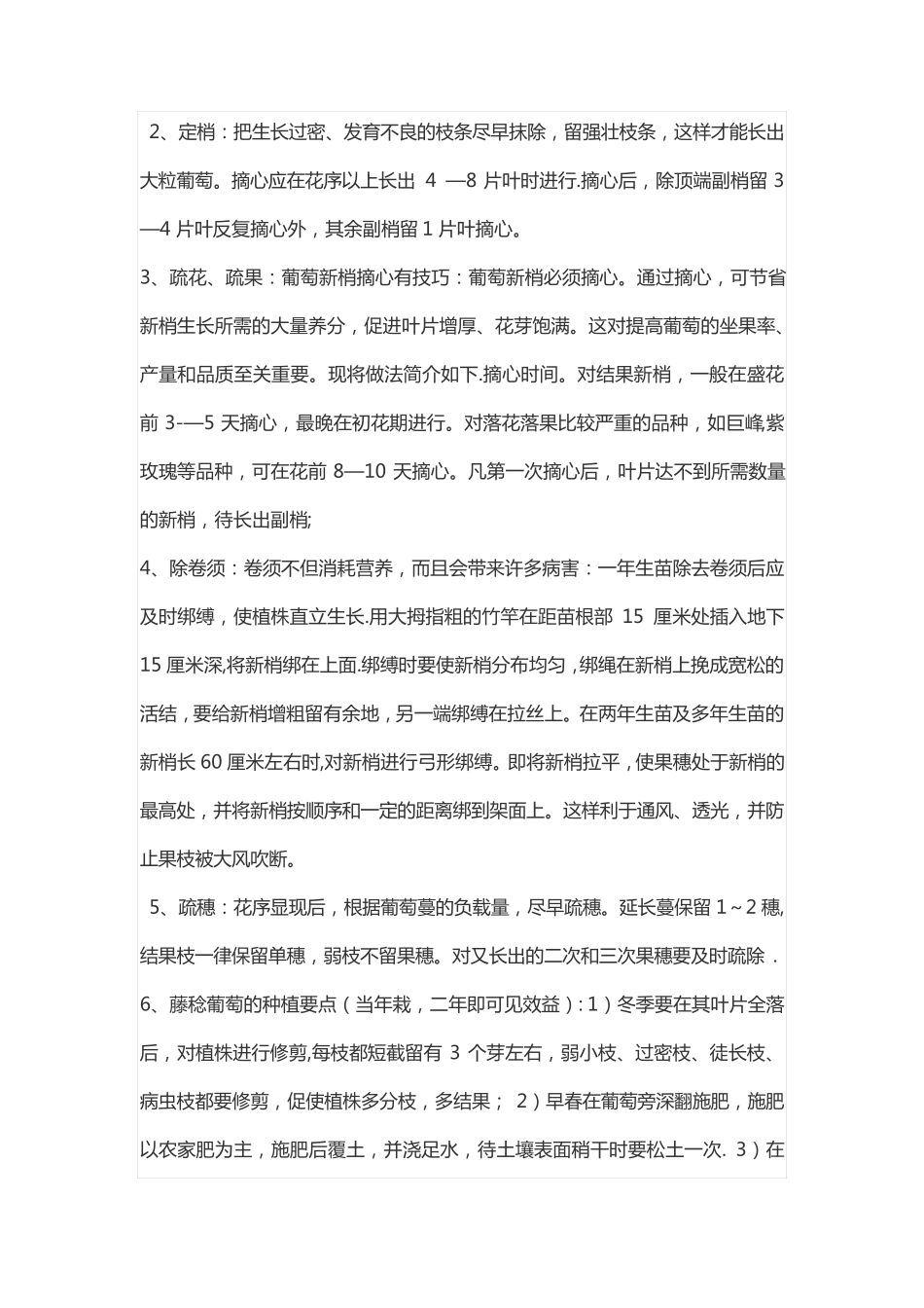 葡萄种植方法与技术_第3页