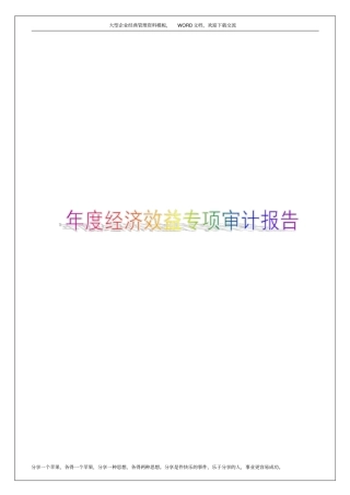 年经济效益专项审计报告12p