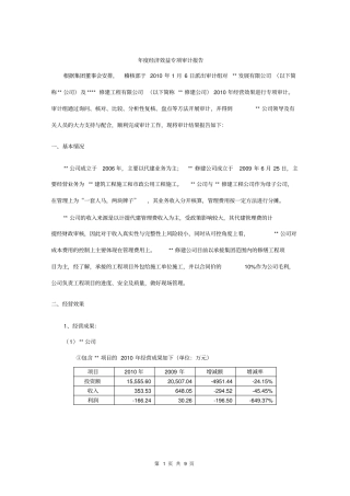 年经济效益审计报告