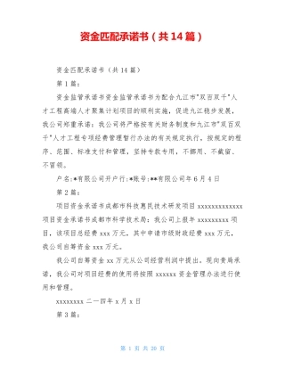 资金匹配承诺书(共14篇)