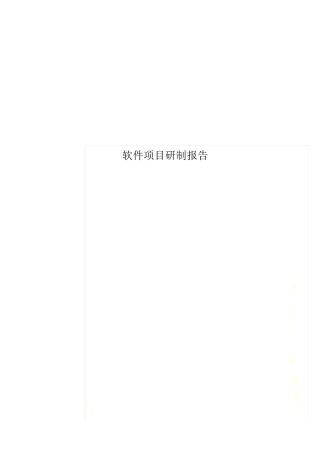 软件项目研制报告