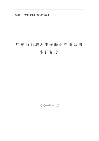 广东汕头超声电子股份有限公司审计制度