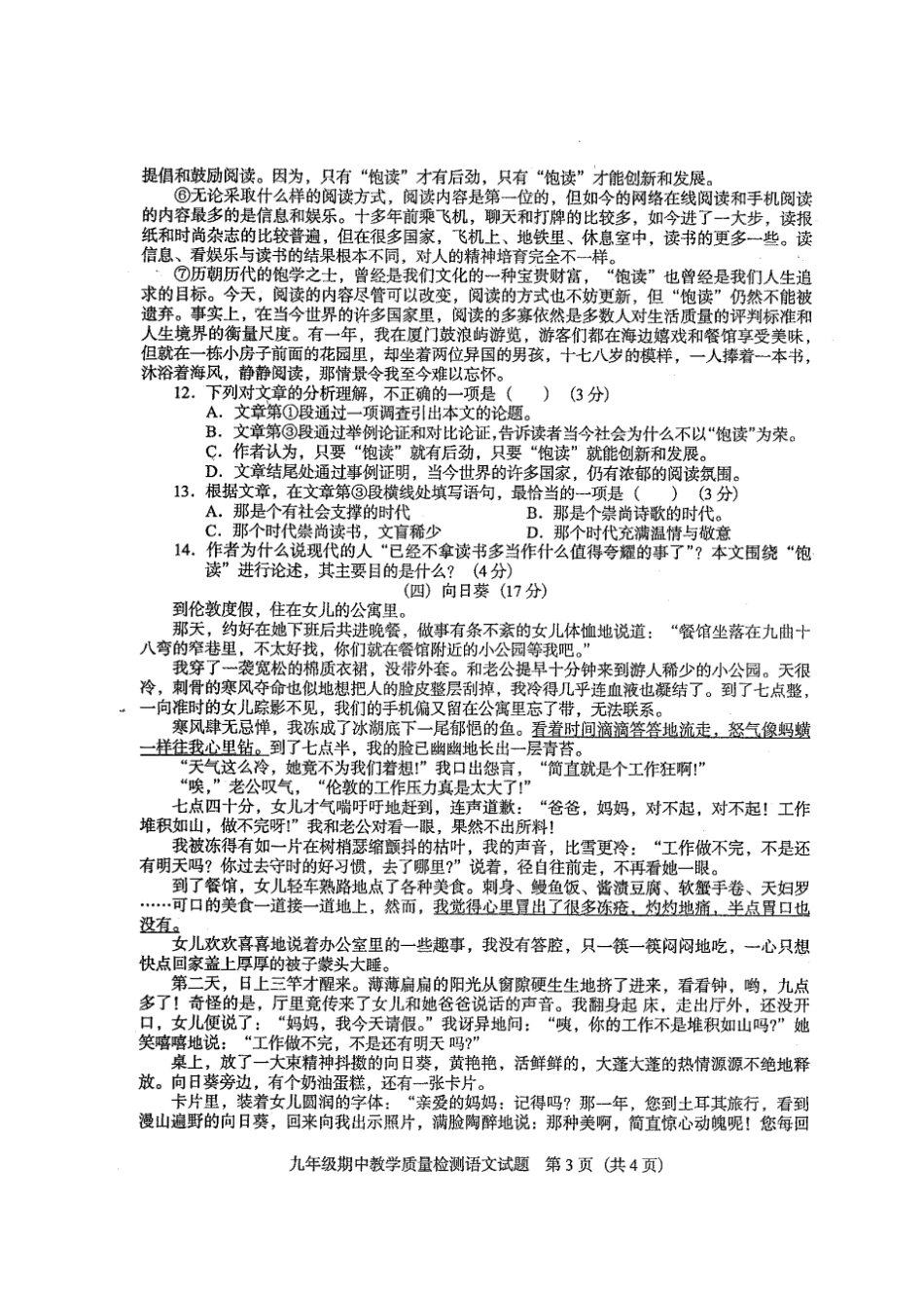 广东那龙镇2018届九年级语文上学期期中试题新人教版_第3页