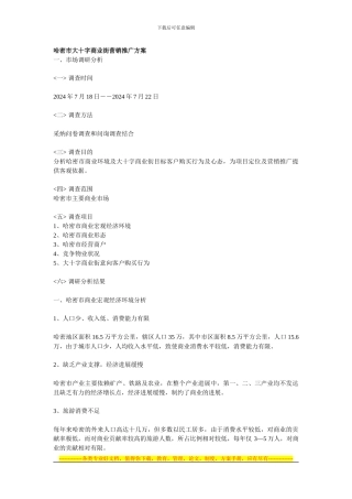 --哈密市大十字商业街营销推广方案