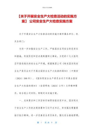 -公司安全生产大检查实施方案