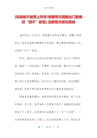 -合肥警方抓玩具枪