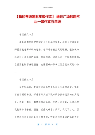 -通往广场的路不止一条作文五年级