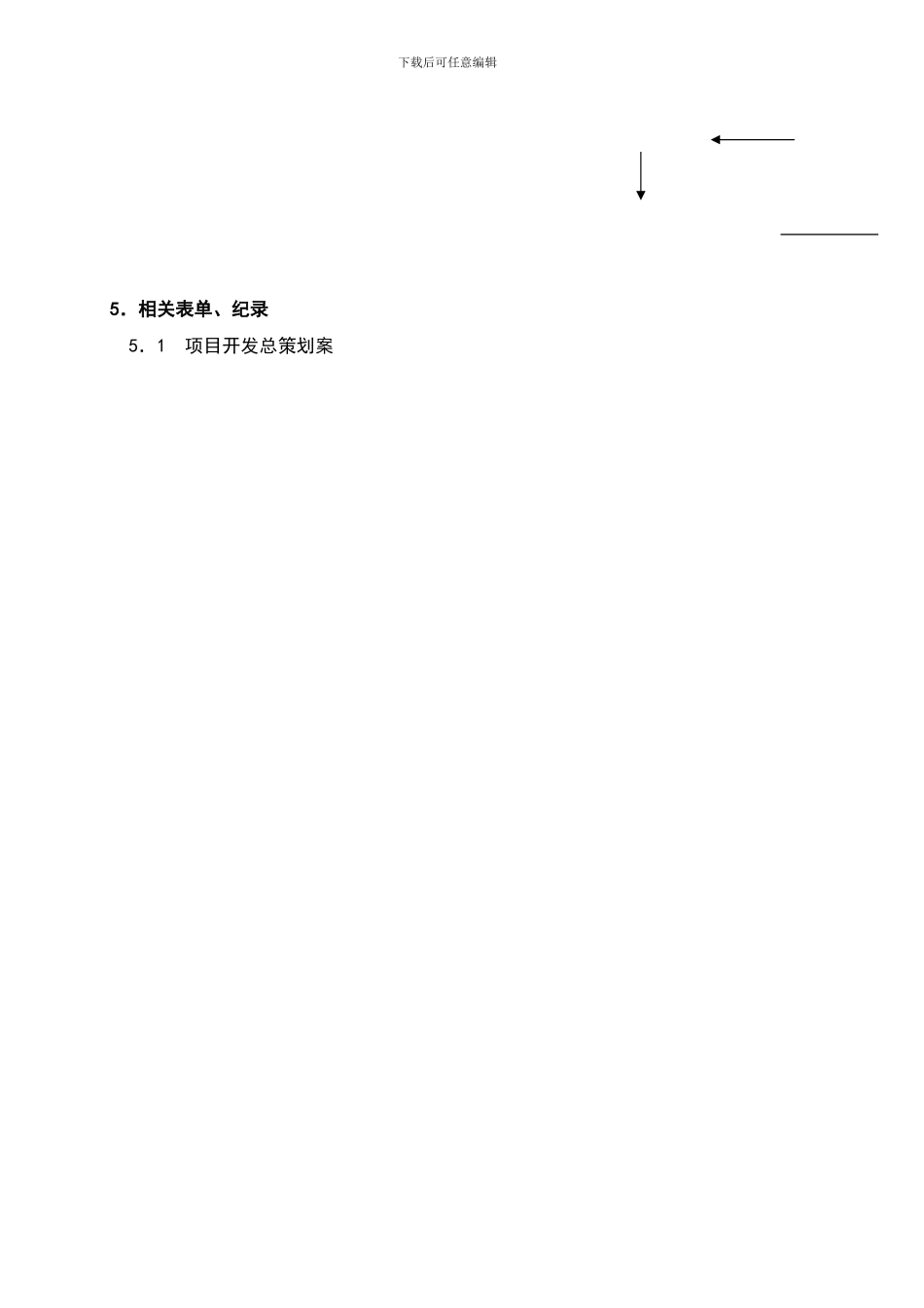 1.项目总策划管理程序_第3页