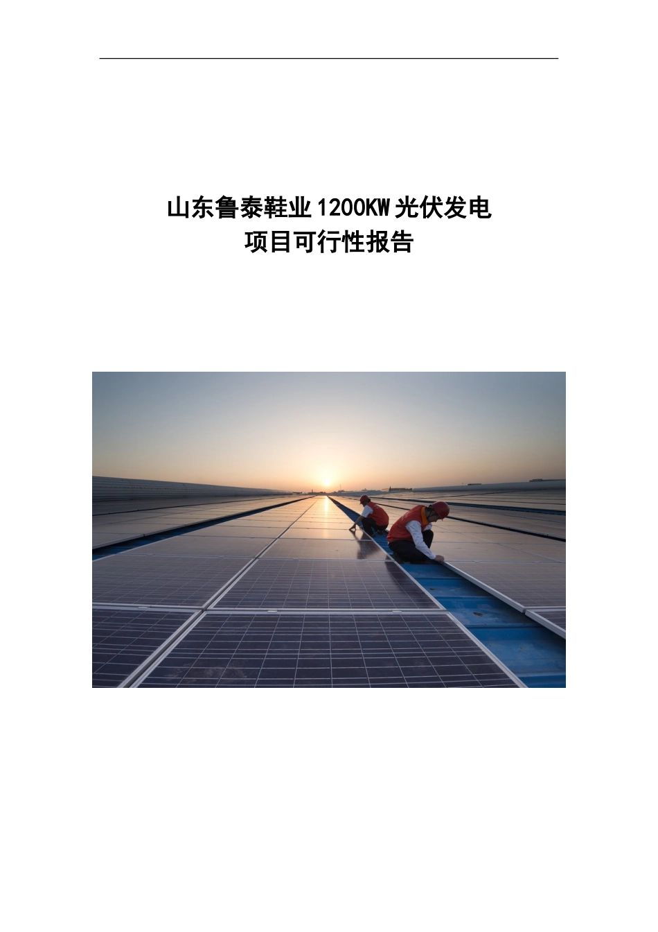 12MW工商业分布式光伏电站项目可行性研究报告-New_第2页