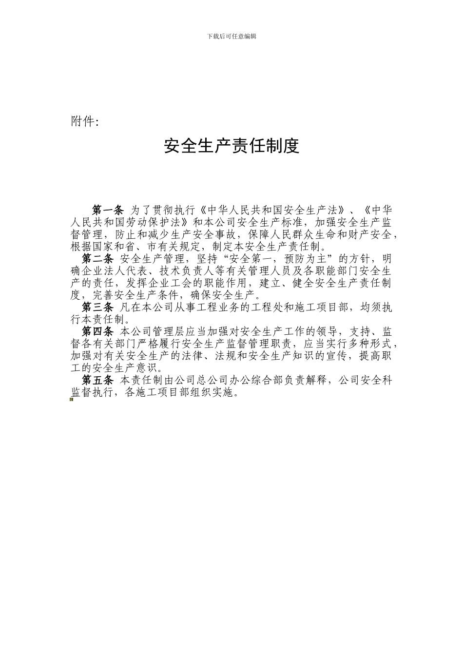 12安全生产责任制度_第2页