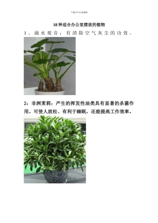 18种适合办公室摆放的植物