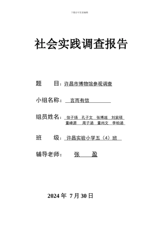 2017社会实践调查报告