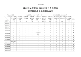 2024-2024病理诊断报告质量检查表-